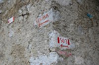 29 Indicazioni